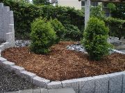 Gartenbau MS