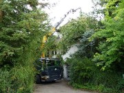 Näf Baumwärter Glattfelden
